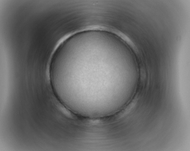 X0000113781230200910141032