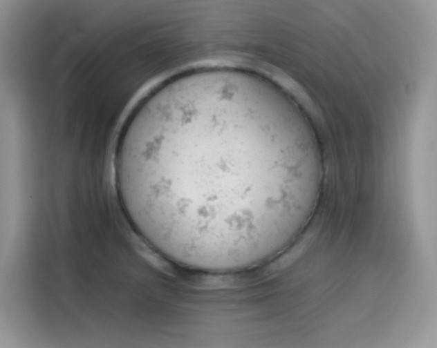 X0000113781232200910141032