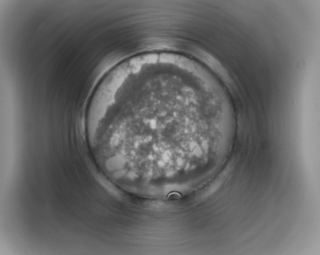 X0000113781234200910141032