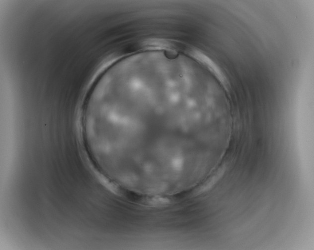 X0000113781235200910141032