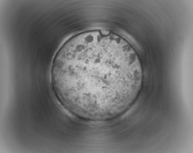 X0000113781236200910141032