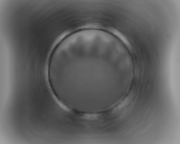 X0000113781237200910141032