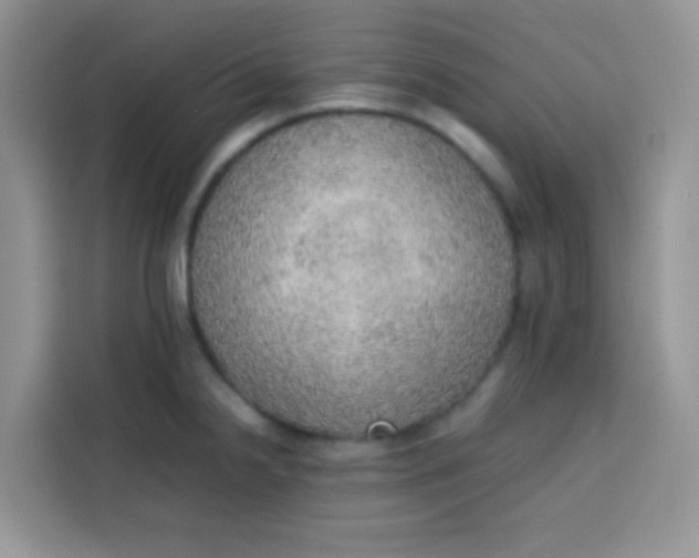 X0000113781238200910141032