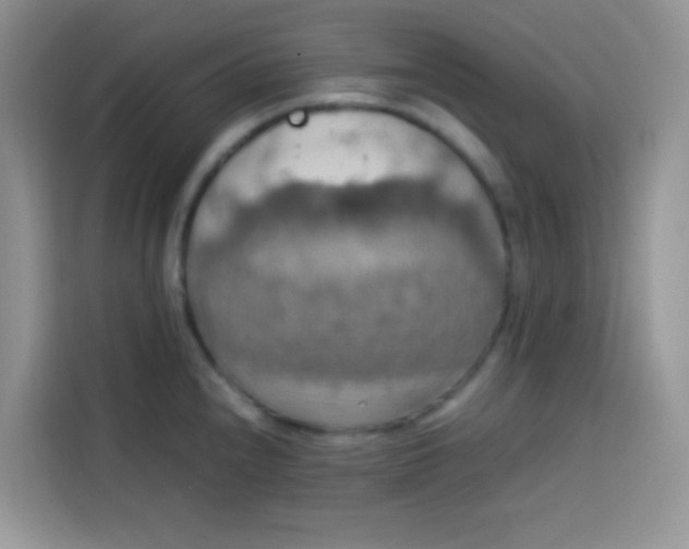 X0000113781240200910141032