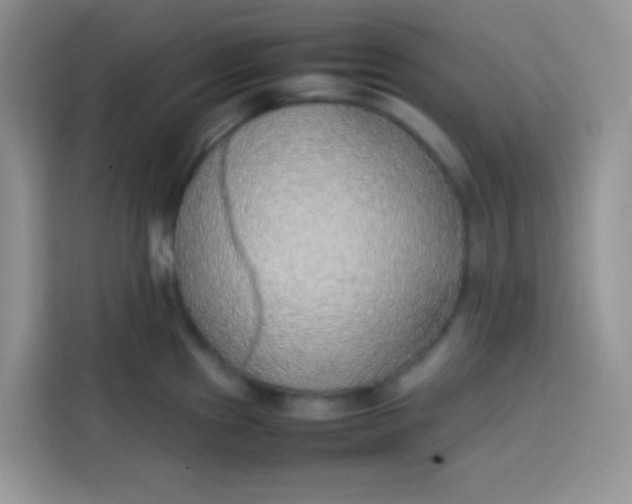 X0000113781241200910141032