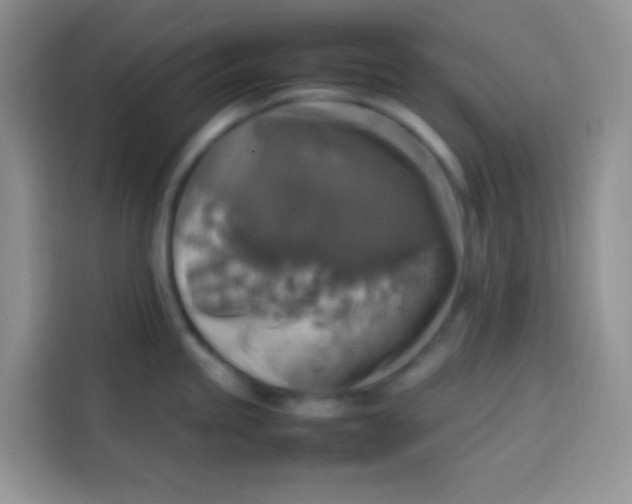 X0000113781245200910141032