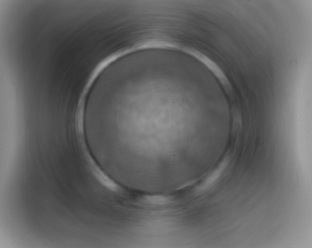 X0000113781246200910141032