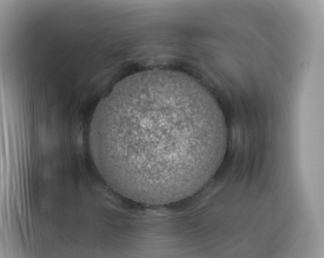 X0000113781250200910141031