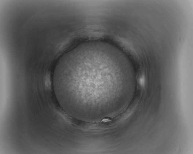 X0000113781252200910141031