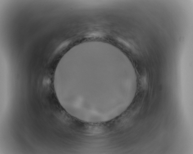 X0000113781254200910141031