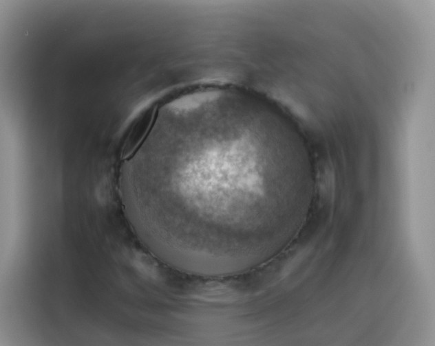 X0000113781256200910141031