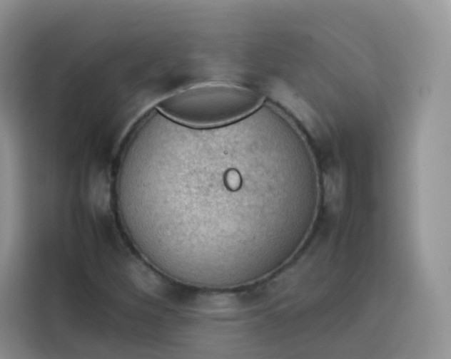 X0000113781260200910141031