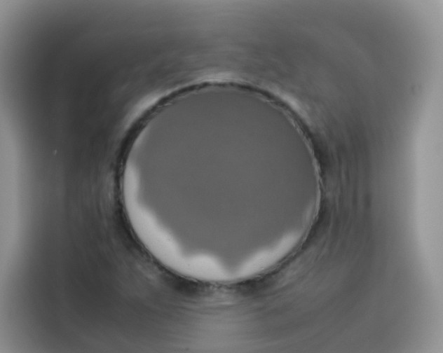 X0000113781263200910141031