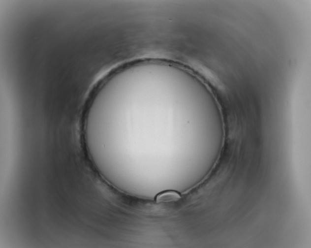 X0000113781264200910141031