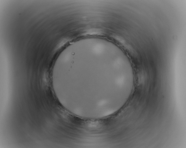 X0000113781266200910141031