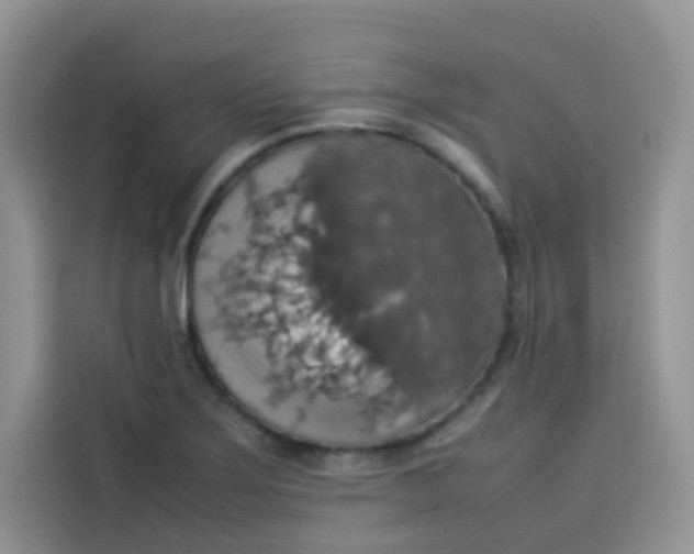 X0000113781275200910141031