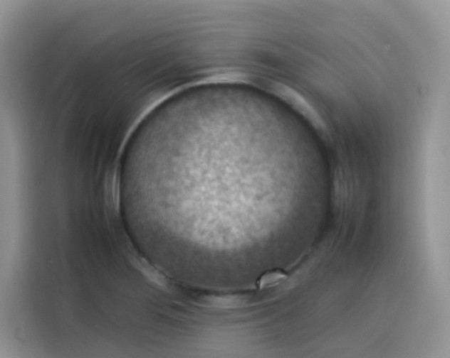 X0000113781276200910141031