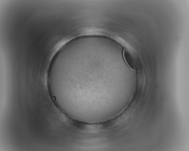 X0000113781277200910141031