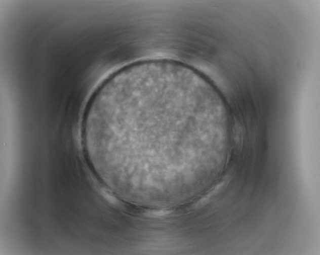 X0000113781278200910141031