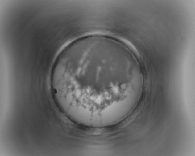 X0000113781279200910141031