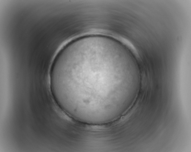 X0000113781280200910141031