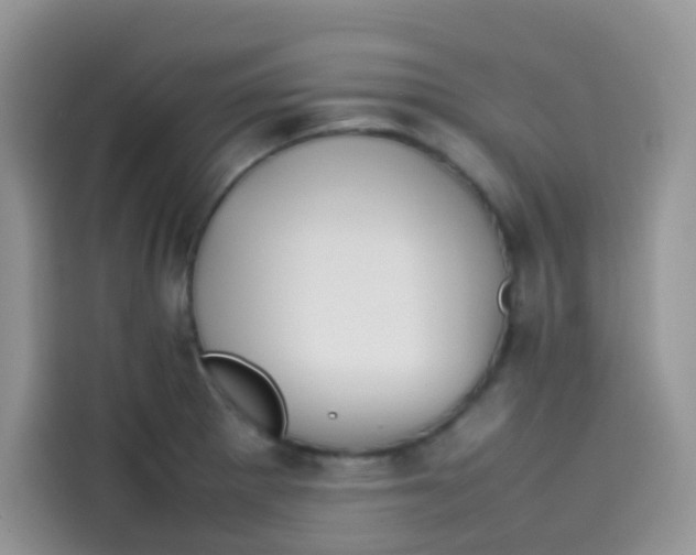 X0000113781281200910141031