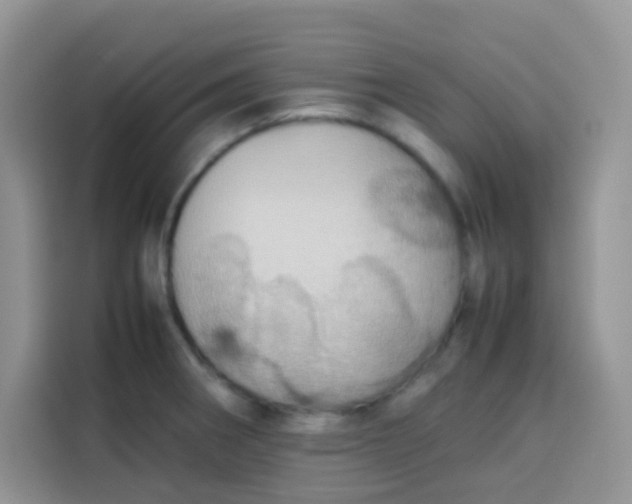 X0000113781282200910141031