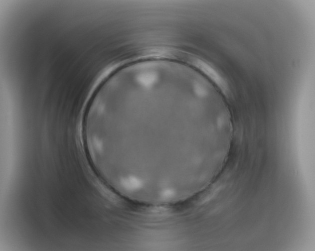 X0000113781283200910141031