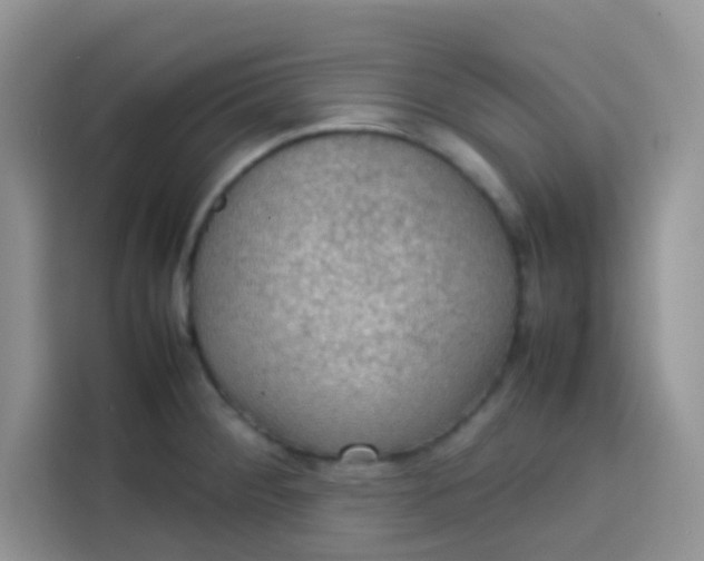 X0000113781284200910141031