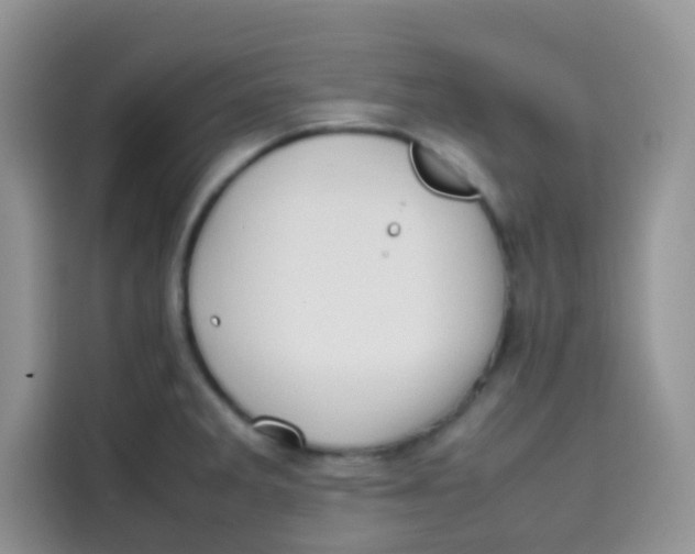 X0000113781285200910141031