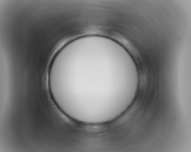 X0000113781286200910141031