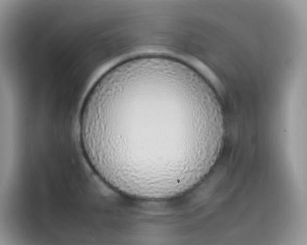 X0000113781287200910141031