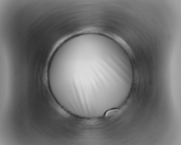 X0000113781288200910141031