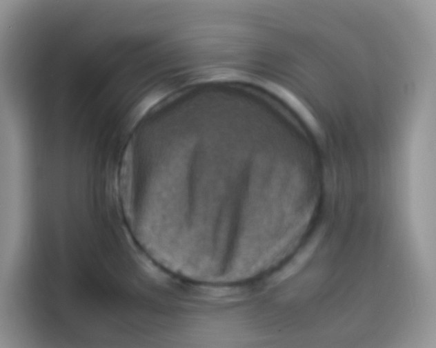 X0000113781289200910141031