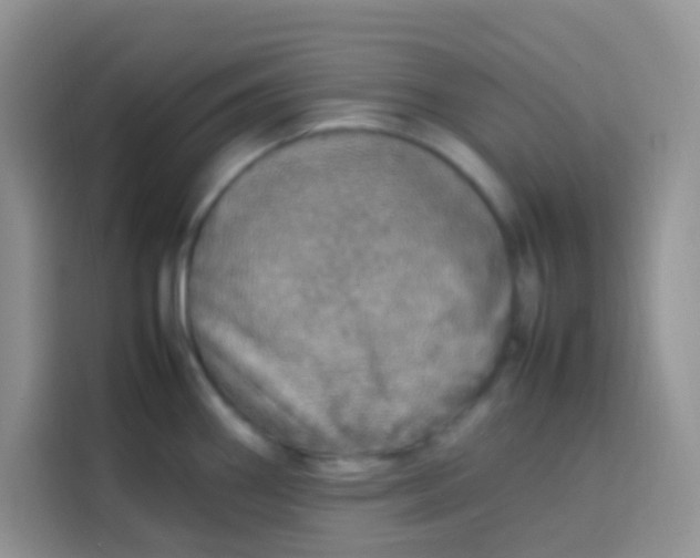 X0000113781290200910141031