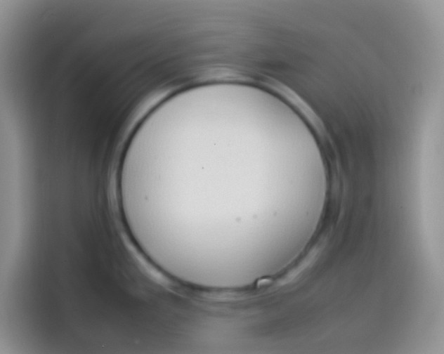 X0000113781293200910141031