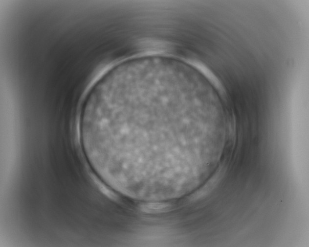 X0000113781294200910141031