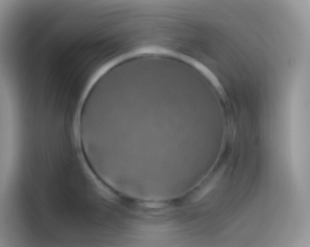 X0000113781295200910141031