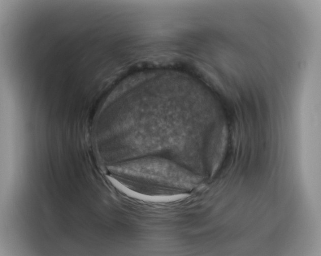 X0000113781298200910141030