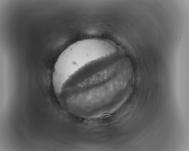 X0000113781301200910141030