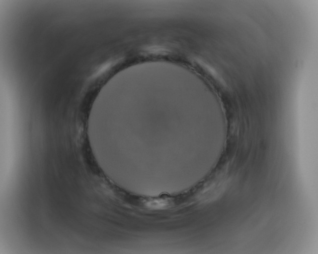 X0000113781303200910141030