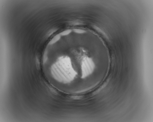 X0000113781305200910141030