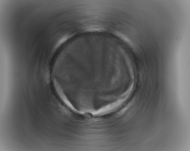 X0000113781306200910141030