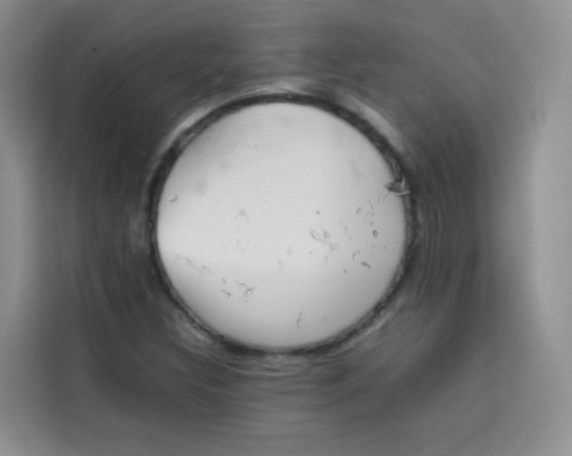 X0000113781308200910141030