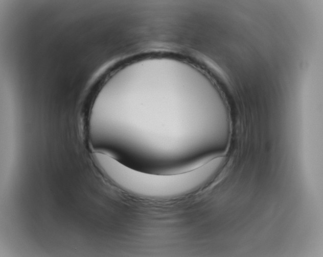 X0000113781310200910141030