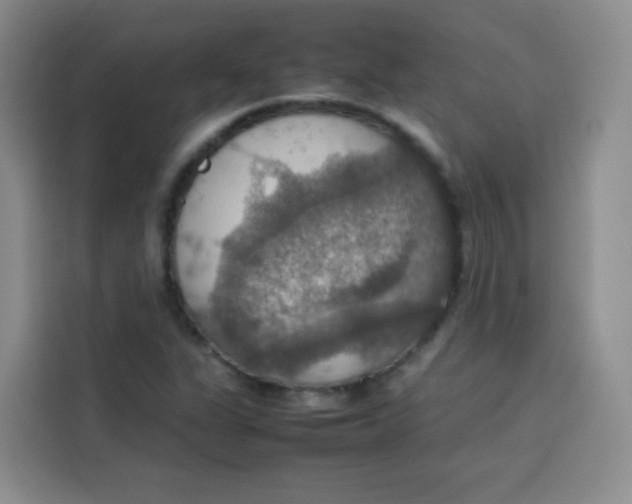 X0000113781311200910141030