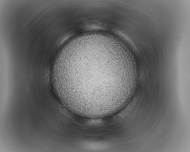 X0000113781313200910141030