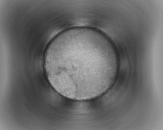 X0000113781314200910141030