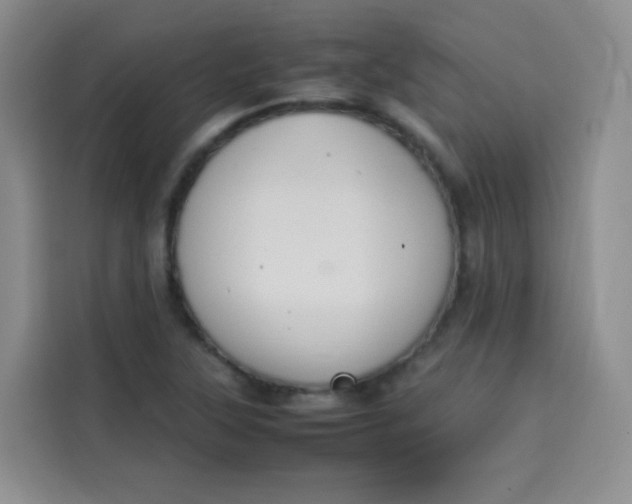 X0000113781315200910141030