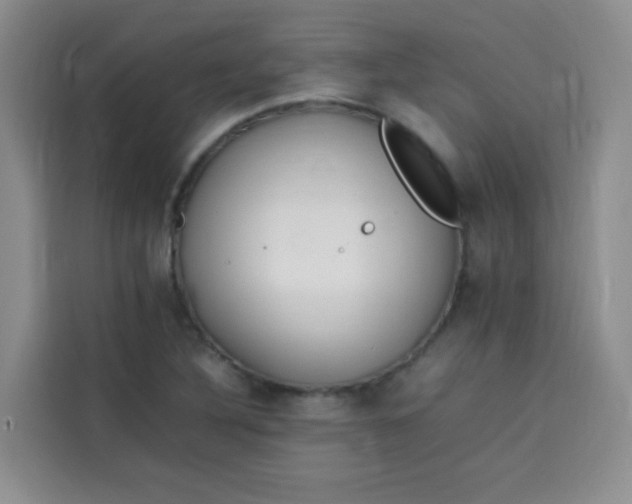 X0000113781316200910141030